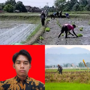 Mengapa Generasi Muda Mulai Menjauh dari Dunia Pertanian?