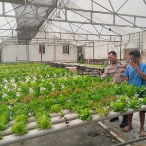 Polsek Benjeng Dukung Program Ketahanan Pangan Melalui Pengecekan Tanaman Sawi Hidroponik di Desa Bulurejo