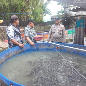 Polsek Cerme Cek Kolam Budidaya Lele di Desa Dungus Dukung Program Presiden RI Wujudkan Swasembada Pangan