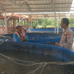 Dukung Swasembada Pangan Presiden RI, Polsek Sidayu Cek Budidaya Lele di Desa Lasem