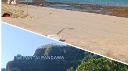 Abrasi Terus Kikis Pasir Pantai Pandawa, Pengelola Desak Penanganan Segera