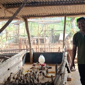 Bhabinkamtibmas Polsek Panceng Pantau Peternakan Bebek Warga untuk Dukung Ketahanan Pangan Nasional