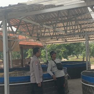 Implementasikan Program Presiden di Bidang Ketahanan Pangan, Polsek Sidayu Cek Budidaya Lele
