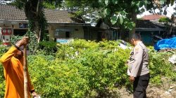 Polsek Dukun Lakukan Pengecekan Tanaman Cabai Dukung Program Swasembada Pangan di Gresik