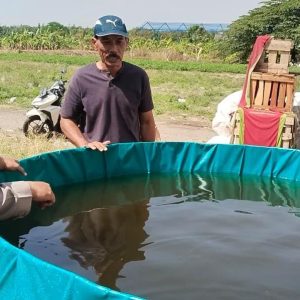 Mendukung Program Swasembada Pangan, Polsek Benjeng Lakukan Pengecekan Budidaya Ikan Lele di Bulurejo