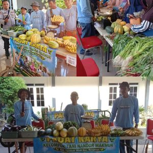 Mandiri di Lahan Sendiri, Kisah Sukses Polsek Kenjeran Ubah Lahan Tidur Jadi Solusi Pangan Warga