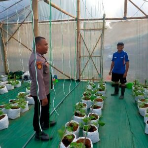 Dukung Arahan Presiden RI , Polsek dukun cek perkembangan tanaman melon di Mojopentung