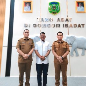 Tangan Dingin PMA, Padang Lawas Maju