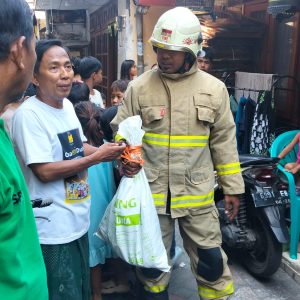 Kemunculan Ular Piton Besar di Padat Penduduk Gegerkan Warga Sidodadi