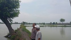 Polsek Duduksampeyan Monitoring Tambak Ikan di Desa Pandanan sebagai Bentuk Dukungan Program Swasembada Pangan Nasional