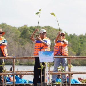 Gubernur Koster Dorong Gerakan Tanam Mangrove Setiap Bulan, Perkuat Ekosistem Pesisir Bali