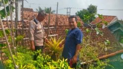 Dukung Swasembada Pangan, Polres Gresik Cek Lahan Cabe di Desa Babakbawo Dukun