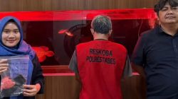 Baru Belajar Jadi Pengedar, Pria di Surabaya Diciduk Polisi Sebelum Sempat Jual 35 Butir Pil Ekstasi
