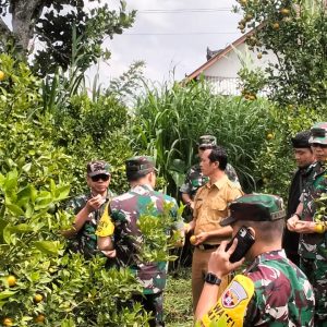 Katim Wasev TMMD ke-129 Tinjau Pembangunan di Sekardadi Bangli, Progres Fisik Capai 100 Persen