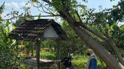 Polres Gresik Ungkap Kasus Kekerasan Seksual Berkedok Pengobatan Alternatif, Pelaku Manfaatkan Kerentanan Korban
