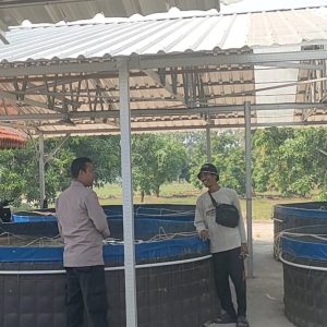 Polres Gresik Dorong Ketahanan Pangan Melalui Pengecekan Budidaya Ikan Lele