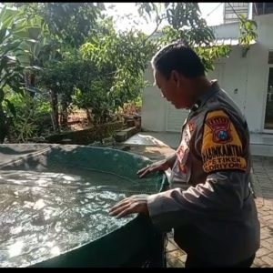 Polres Gresik Cek Budidaya Ikan Lele Dukung Ketahanan Pangan di Desa Petiken