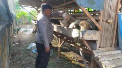 Polsek Dukun Cek Ternak Kambing di Desa Mentaras, Dukung Program Ketahanan Pangan