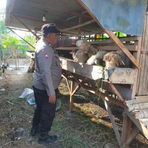 Polsek Dukun Cek Ternak Kambing di Desa Mentaras, Dukung Program Ketahanan Pangan