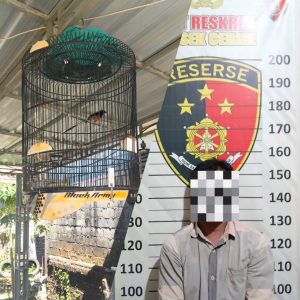 Polsek Cerme Ungkap Pencurian Burung Murai Batu, Pelaku Diduga Beraksi di 4 TKP