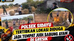 Polsek Sidayu Tertibkan Lokasi Diduga Jadi Tempat Judi Sabung Ayam di Gresik