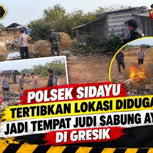 Polsek Sidayu Tertibkan Lokasi Diduga Jadi Tempat Judi Sabung Ayam di Gresik