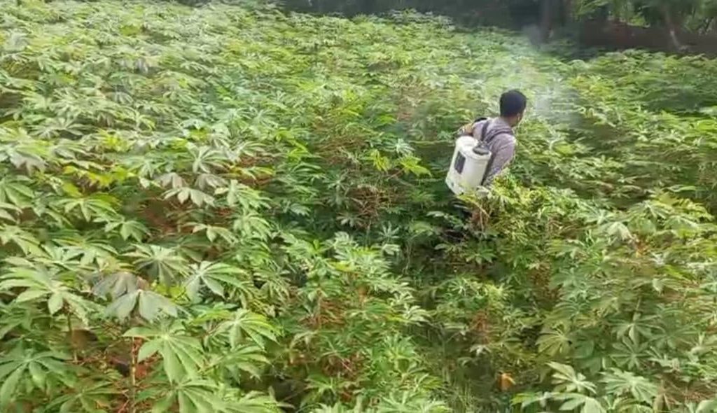 Polres Gresik Cek Tanaman Ubi di Desa Kebonagung, Dukung Program Ketahanan Pangan
