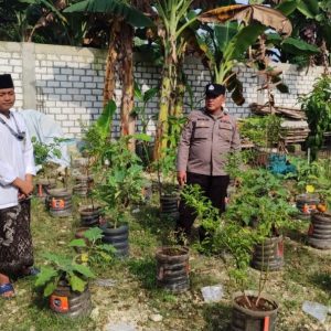 Polsek Bungah Cek Tanaman Lombok di Desa Masangan, Dukung Program Ketahanan Pangan