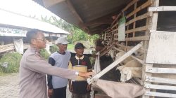 Polsek Kebomas Cek Kandang Kambing di Kembangan, Dukung Program Ketahanan Pangan