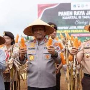 Panen Raya Jagung di Banyuwangi, Kapolda Jatim Dorong Riset Benih Unggul untuk Dongkrak Produktivitas