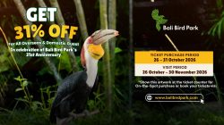 Rayakan HUT ke-31, Bali Bird Park Tebar Diskon Tiket 31 Persen hingga 30 November 2026