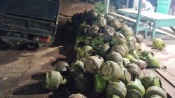 Mobil Terjebak di Area Galian Pipa KM 32 Rokan Hilir, Warga Harapkan Perhatian Serius dari Pimpinan dan Pihak Terkait