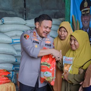 Dukung Ketahanan Pangan, Polres Jember Gandeng Bulog Serap Hasil Panen Jagung Petani Puger