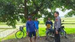 POLSEK WRINGINANOM CEK TANAMAN PADI DI DESA LEBANISUKO, DUKUNG PROGRAM KETAHANAN PANGAN