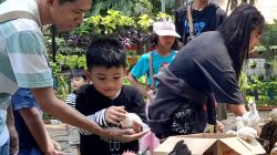 Ayam Kate Cocok Dipelihara di Perkotaan, KATES Ungkap Perawatan dan Potensi Ekonominya