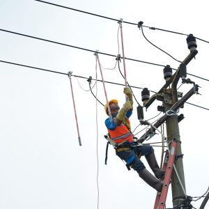 Semangat Hari Sumpah Pemuda, Rampingkan Anak Usaha, PLN Hadirkan PLN Services untuk Meningkatkan Layanan ke Masyarakat