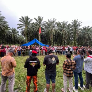 Tanah Ulayat Dirampok Puluhan Tahun, Ratusan Warga Tiga Desa Kepung PT Tindoan Bujing di Paluta